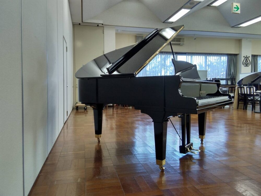 Used piano A-30 overall picture2